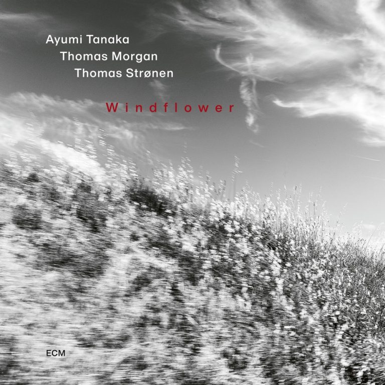 Portada de «Windflower», d'Ayumi Tanaka, Thomas Morgan, Thomas Strønen