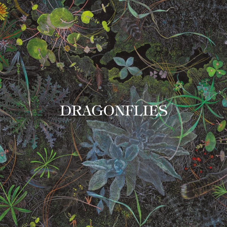 Dhani Harrison i Nigel Godrich publiquen el primer disc de Dragonflies, construït a partir de bucles de cinta
