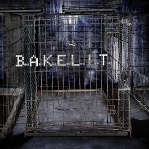 Cover of “Wake Up Terrified”, by Bakelit