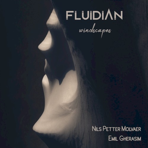 Portada de «Windscapes», de Fluidian