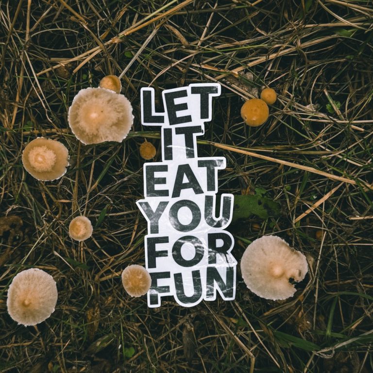Portada de «Upon the Forest Floor», de Let It Eat You For Fun
