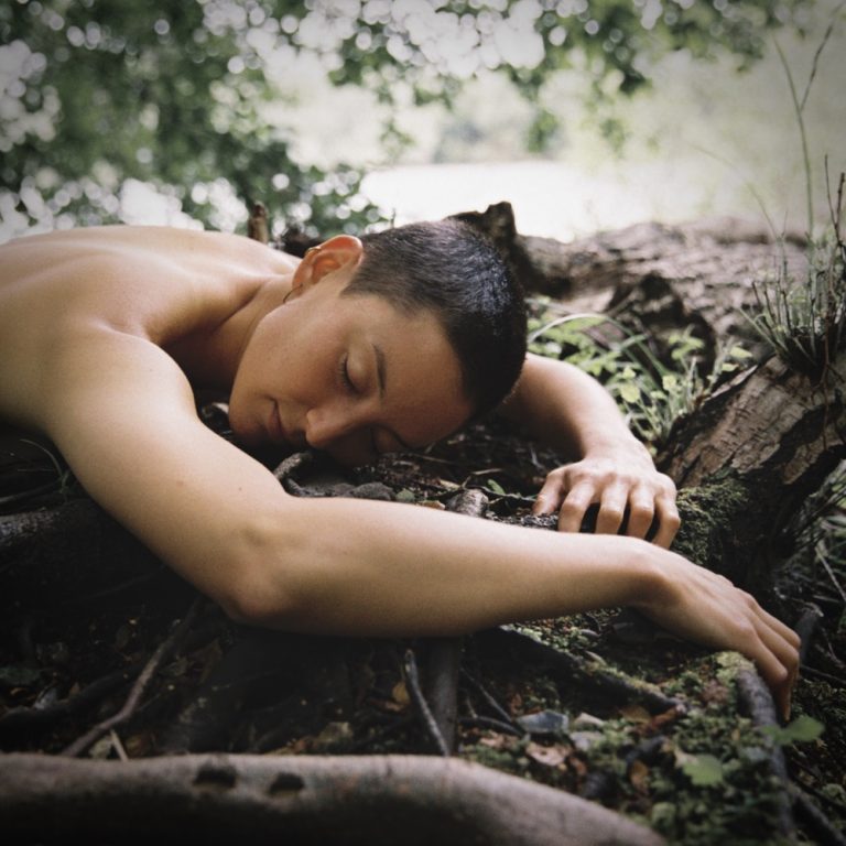Portada de «(Re)planted», de Midori Jaeger