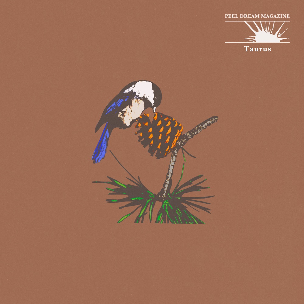 Portada de «Taurus», el mini-àlbum de Peel Dream Magazine que surt en vinil l'11 de novembre